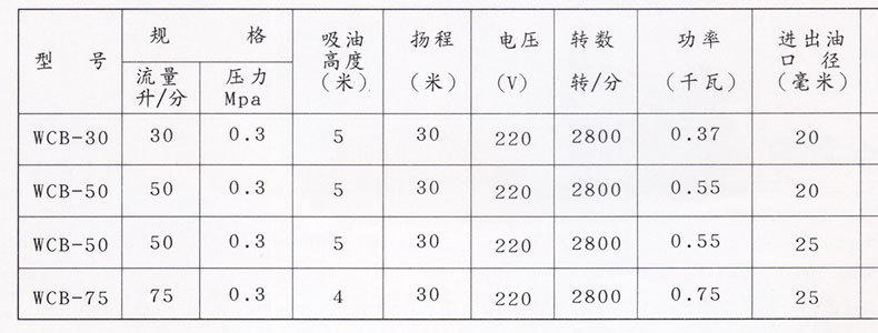 WCB齿轮油泵4