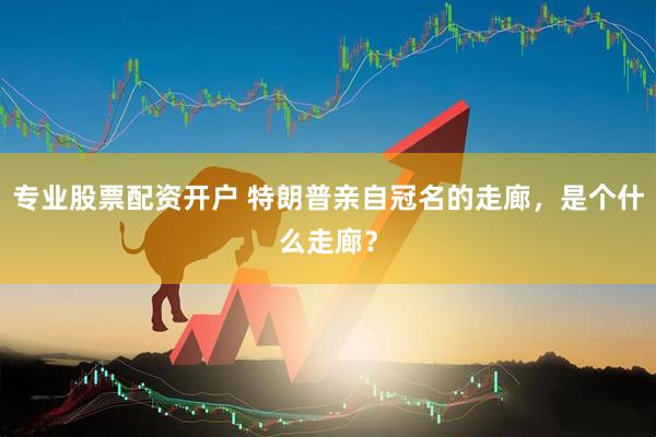专业股票配资开户 特朗普亲自冠名的走廊，是个什么走廊？