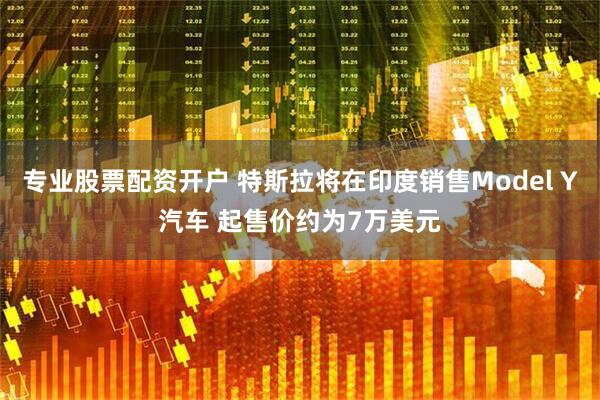 专业股票配资开户 特斯拉将在印度销售Model Y汽车 起售价约为7万美元