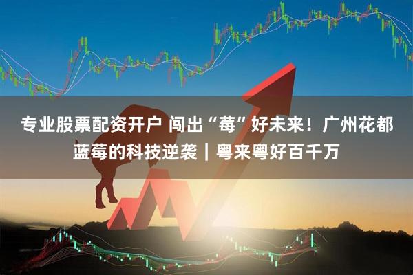 专业股票配资开户 闯出“莓”好未来！广州花都蓝莓的科技逆袭｜粤来粤好百千万